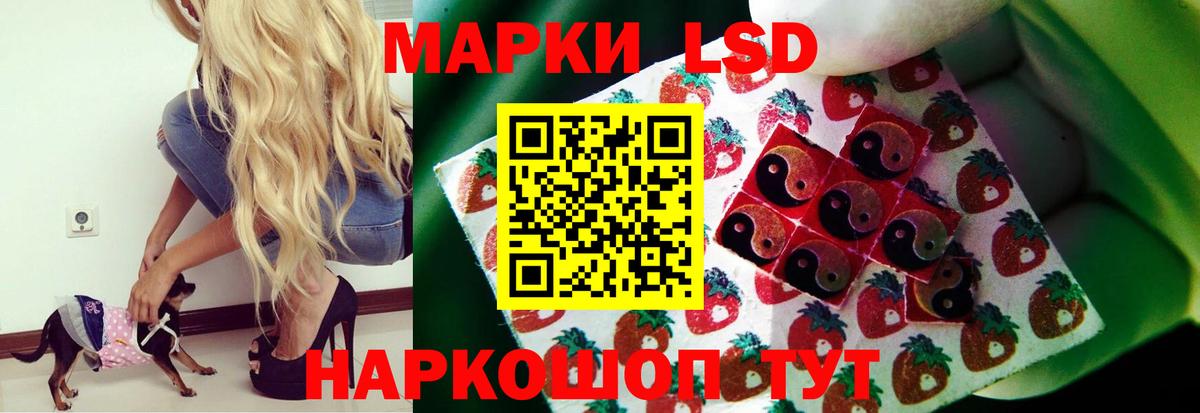 ЛСД экстази  Вход с VPN  ЛСД экстази ecstasy  Новодвинск  LSD-25 экстази ecstasy 