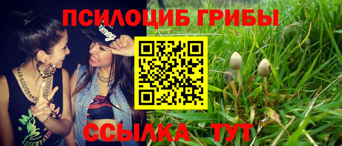 Псилоцибиновые грибы Magic Shrooms  Вход с VPN  Новодвинск 